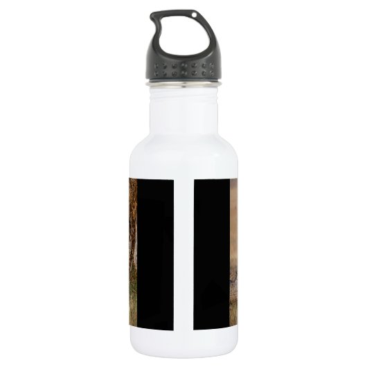 Lioness stretching trinkflasche (Rückseite)