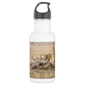 Lioness stretching trinkflasche (Vorderseite)