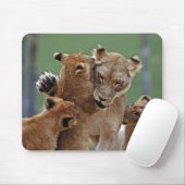 Lioness und 3 Cubs Mousepad (Mit Mouse)