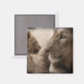 Lioness und Cube Magnet (Vorderseite/Rückseite)