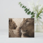 Lioness und Cube Postkarte (Stehend Vorderseite)