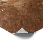 Lioness und ihre Naben Poster (Ecke)