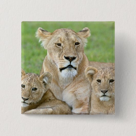 Lioness und Two Cubs, Ostafrika, Tansania, Button (Vorderseite)