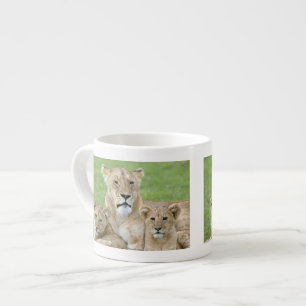 Lioness und Two Cubs, Ostafrika, Tansania, Espressotasse