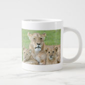 Lioness und Two Cubs, Ostafrika, Tansania, Jumbo-Tasse (Rechts)