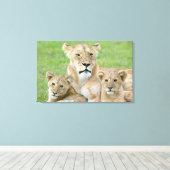Lioness und Two Cubs, Ostafrika, Tansania, Leinwanddruck (Insitu (Holzboden))