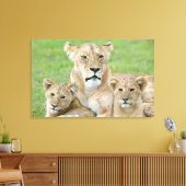 Lioness und Two Cubs, Ostafrika, Tansania, Leinwanddruck (Insitu (Wohnzimmer))