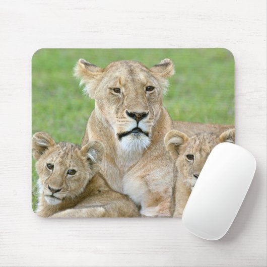 Lioness und Two Cubs, Ostafrika, Tansania, Mousepad (Mit Mouse)