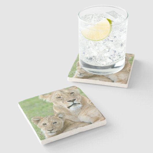 Lioness und Two Cubs, Ostafrika, Tansania, Steinuntersetzer (Seitenansicht)