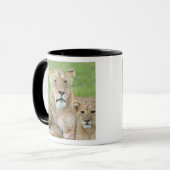 Lioness und Two Cubs, Ostafrika, Tansania, Tasse (Vorderseite Links)