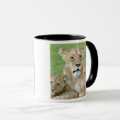 Lioness und Two Cubs, Ostafrika, Tansania, Tasse (VorderseiteRechts)