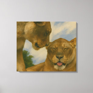 Lioness Unternehmen im goldenen Licht Leinwanddruck