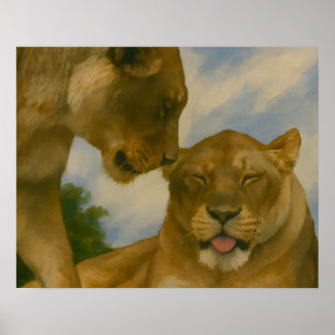 Lioness Unternehmen im goldenen Licht Poster