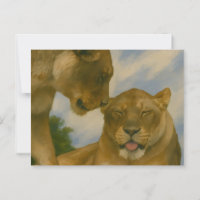 Lioness Unternehmen im goldenen Licht
