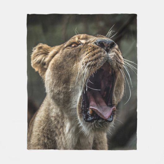 LIONESS YAWNING FLEECEDECKE (Vorderseite)