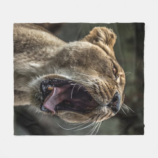 LIONESS YAWNING FLEECEDECKE (Vorderseite (Horizontal))