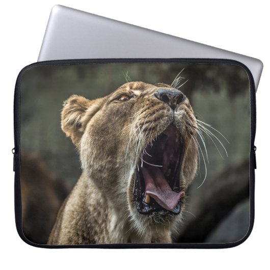 LIONESS YAWNING LAPTOPSCHUTZHÜLLE (Vorderseite)