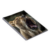 LIONESS YAWNING NOTIZBLOCK (Rechte Seite)