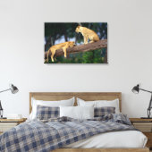 Lionesse in einem Baum Leinwanddruck (Insitu (Schlafzimmer))