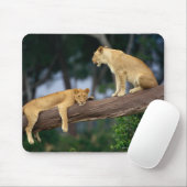 Lionesse in einem Baum Mousepad (Mit Mouse)