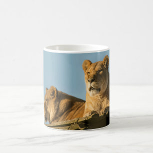 Lionesse Kaffeetasse