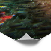 Lionfischprofil Poster (Ecke)