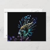 Lionfischschwimme Postkarte (Vorne/Hinten)