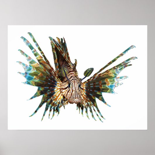 Lionfish - Abstraktes Design - Aus einem Foto schn Poster (Vorne)