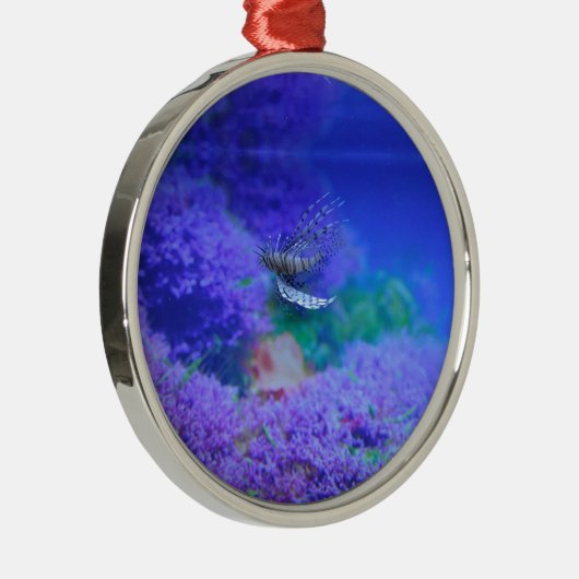 Lionfish Aquarium Lila Pterois Zebrafish Silbernes Ornament (Rechts)