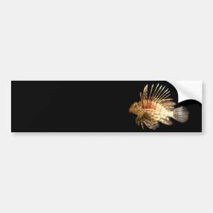 Lionfish Autoaufkleber
