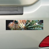 Lionfish-Autoaufkleber Autoaufkleber (Auf Auto)