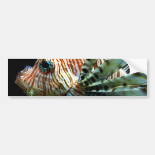 Lionfish-Autoaufkleber Autoaufkleber
