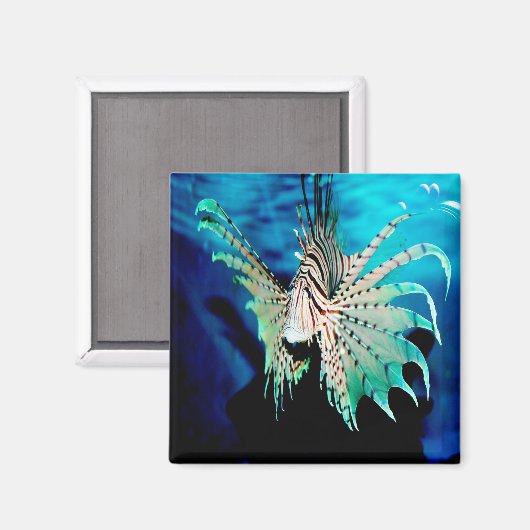 Lionfish Beauty Magnet (Vorderseite/Rückseite)