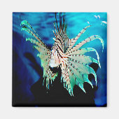 Lionfish Beauty Magnet (Vorne)
