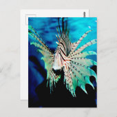 Lionfish Beauty Postkarte (Vorne/Hinten)
