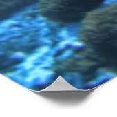 Lionfish-Komodo Poster (Ecke)