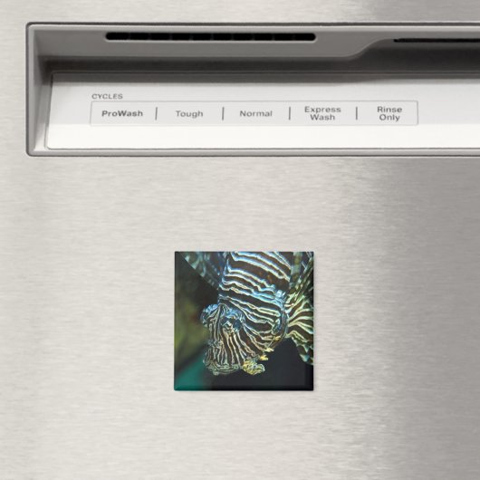 Lionfish Magnet (In Situ (Geschirrspüler))