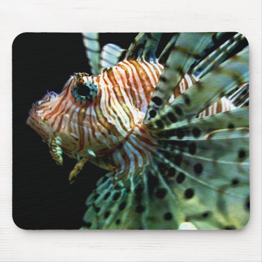 Lionfish Mousepad (Vorne)