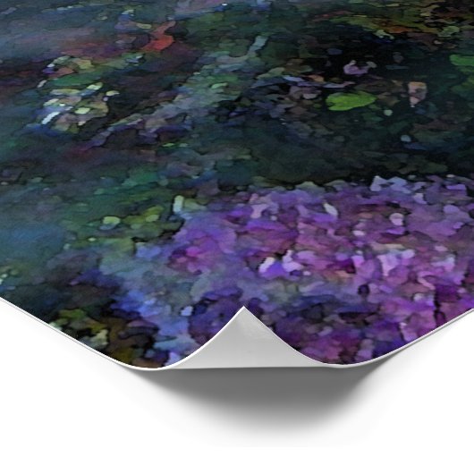 Lionfish Poster (Ecke)