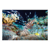 Lionfish Print Fotodruck (Vorne)