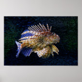 Lionfish Print Poster (Vorne)
