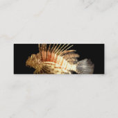 Lionfish Skinny Visitenkarte (Rückseite)