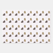 Lionhead bunnies geschenkpapier set (Vorderseite)