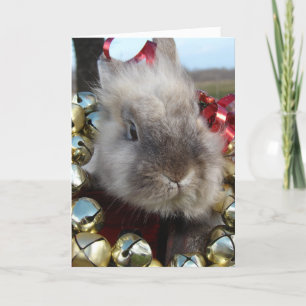 Lionhead Bunny Christmas Feiertagskarte