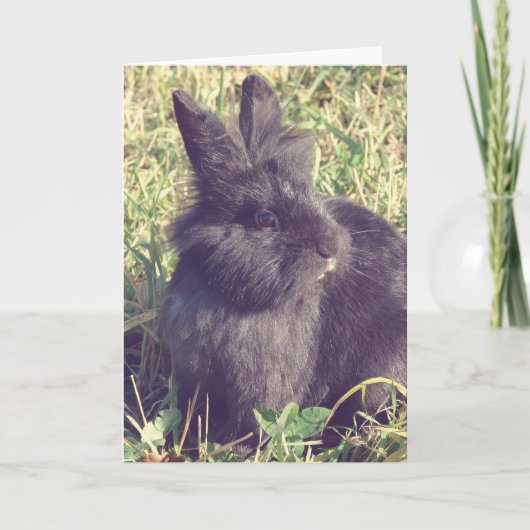 Lionhead Bunny Imitats Vintag Karte (Vorderseite)