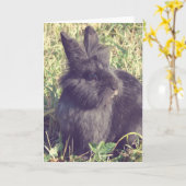 Lionhead Bunny Imitats Vintag Karte (Gelbe Blume)