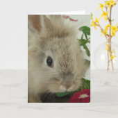 Lionhead Bunny Jedes Anlasses Karte (Gelbe Blume)