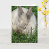 Lionhead Bunny Jedes Anlasses Karte (Gelbe Blume)