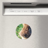 Lionhead Bunny Magnet (In Situ (Geschirrspüler))