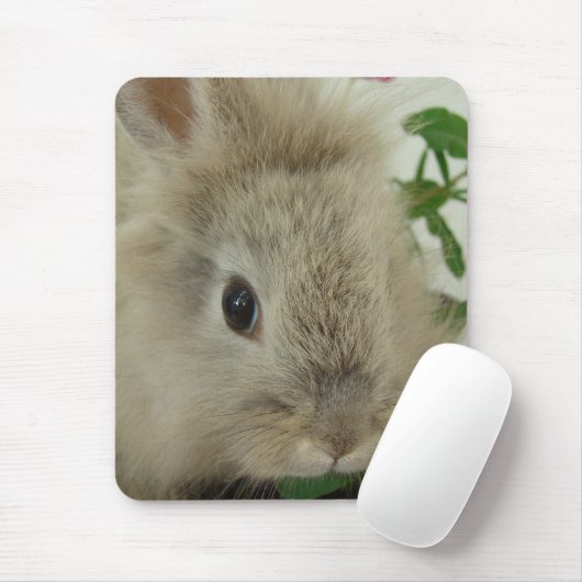 Lionhead Bunny Mousepad (Mit Mouse)